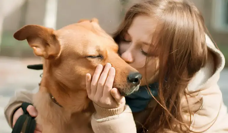 uma mulher beijando um cachorro adulto que acabou de ser adotado.