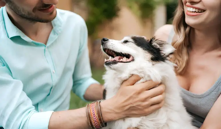 um cachorro sentado com seus donos felizes.