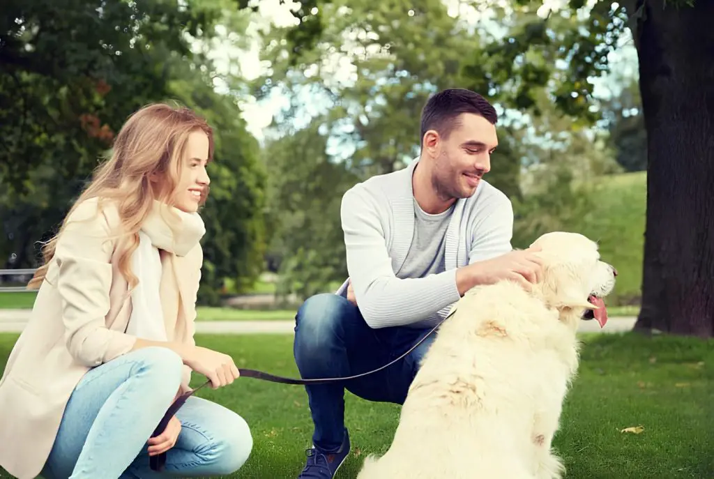 um casal em um parque com um cachorro sentado com uma coleira.