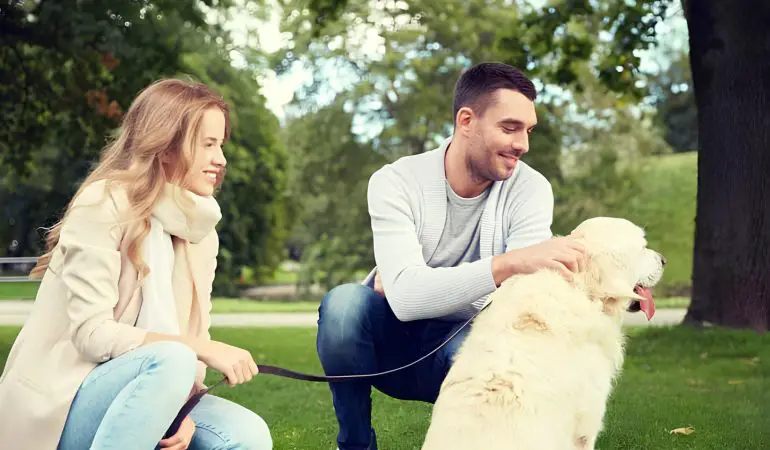 um casal com um cachorro em uma coleira passeando em um parque.