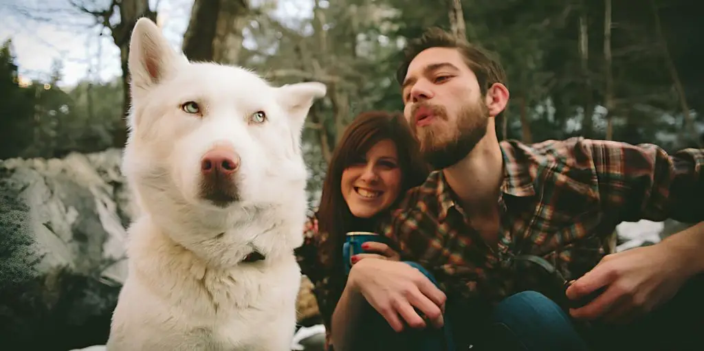 um casal de namorados e um cachorro com ciúmes deles.