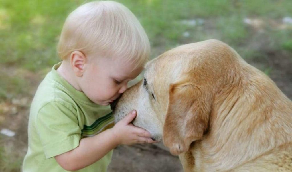 uma criança dando um beijinho em um cachorro