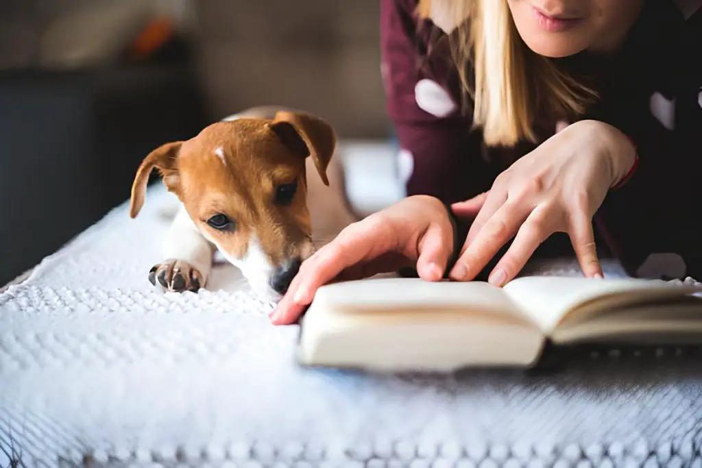 um cachorro deitado com sua tutora ao lado lendo um livro.