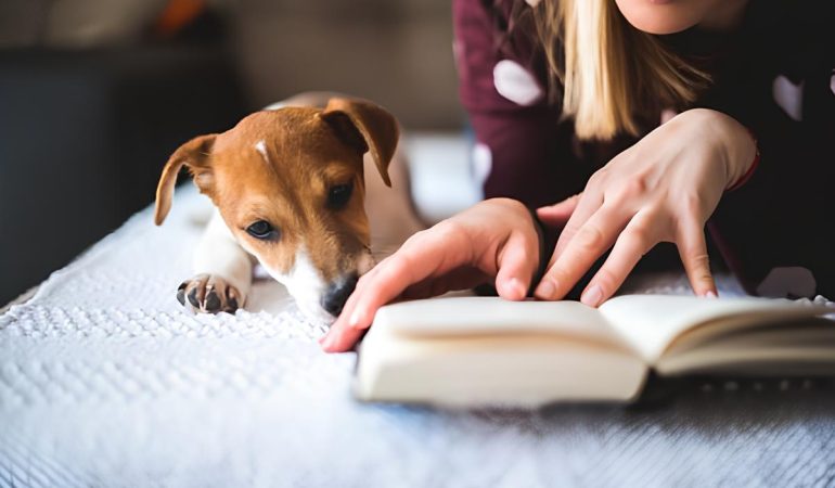 um cachorro deitado e sua tutora ao seu lado lendo um livro.
