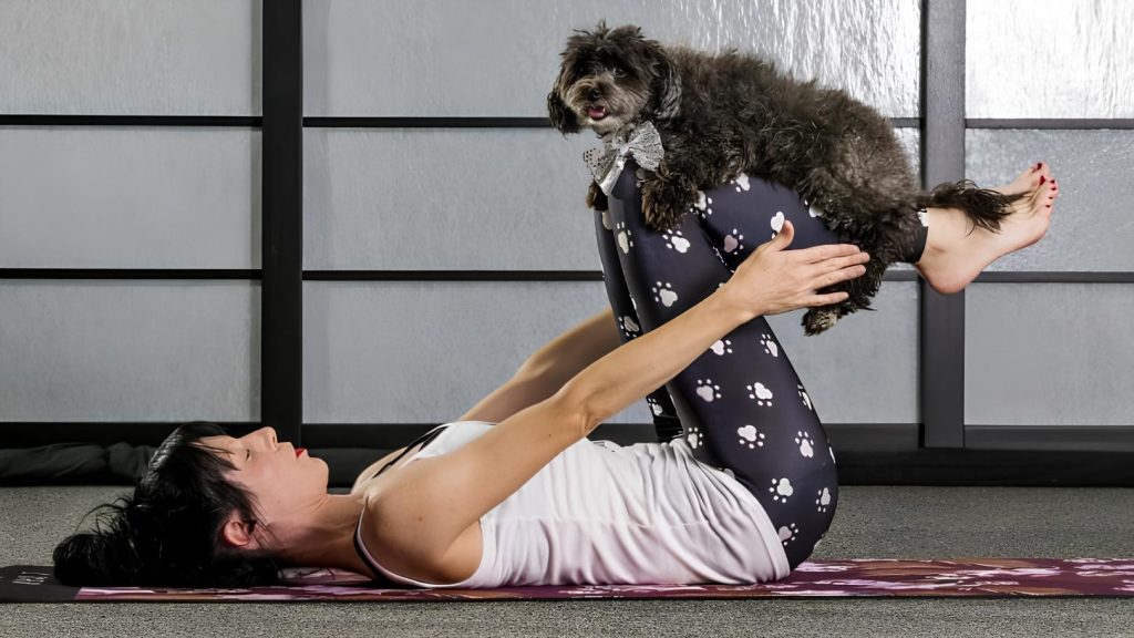 um mulher deitada ao chão fazendo yoga com seu cachorro.