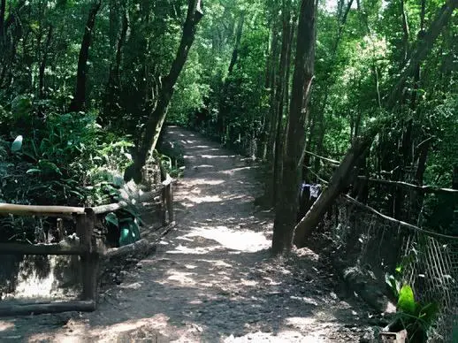 Parque Alfredo Volpe em São Paulo.