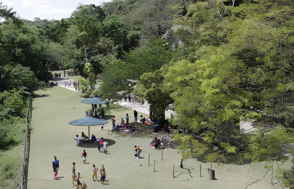 Parque Estadual de Dois Irmãos - Zoológico de Recife.