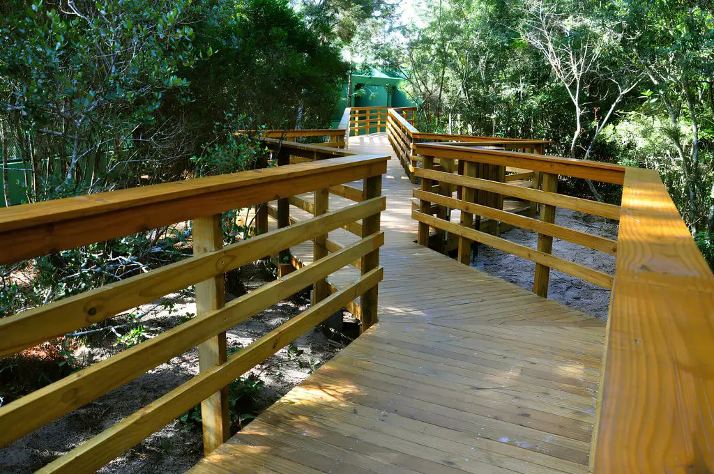 Parque Estadual do Rio Vermelho localizado em Santa Catarina ótimo para lazer com seus pets.