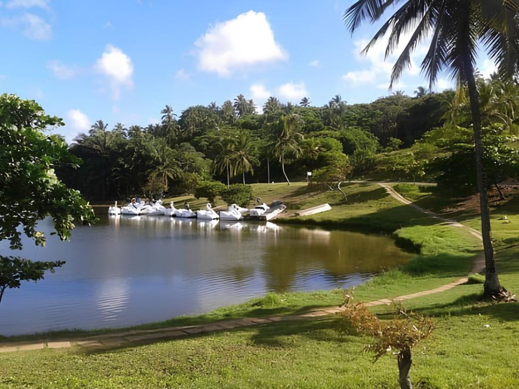 Parque Metropolitano de Pituaçu localizado na Bahia Salvador.