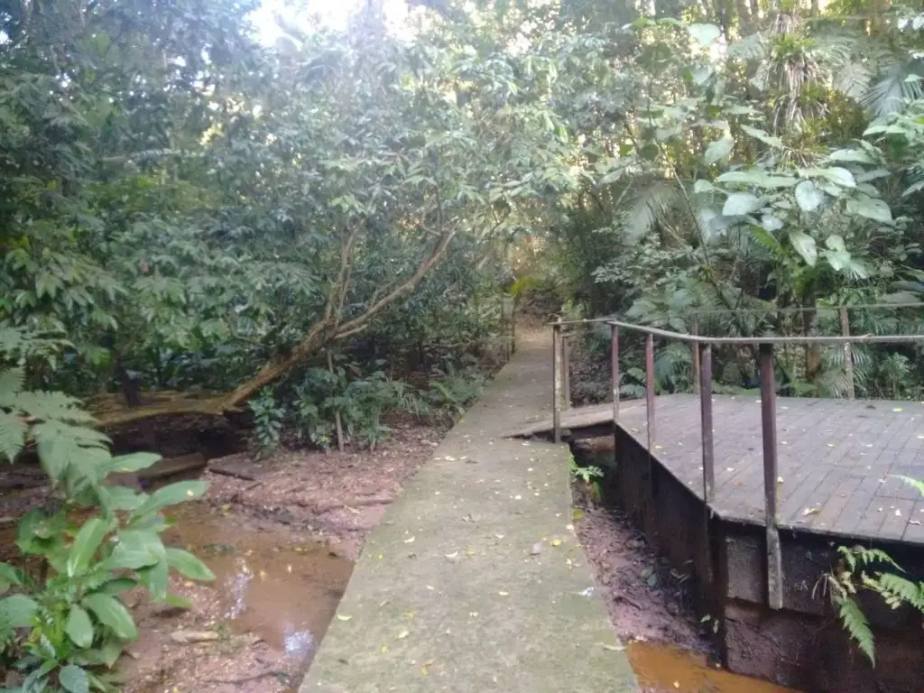 Parque Municipal São Francisco de Assis localizado em Santa Catarina ótima opção para passeios com cães.