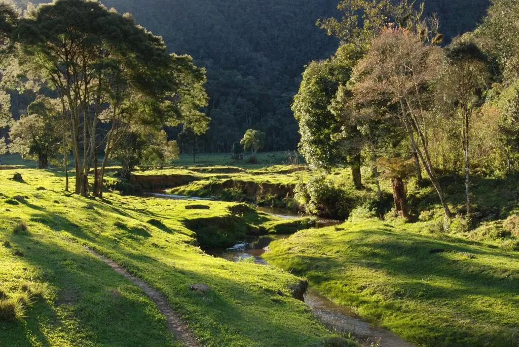 Parque Nacional da Serra do Itajaí localizada em Santa Catarina.