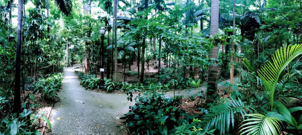 Parque trianon localizado em São Paulo.