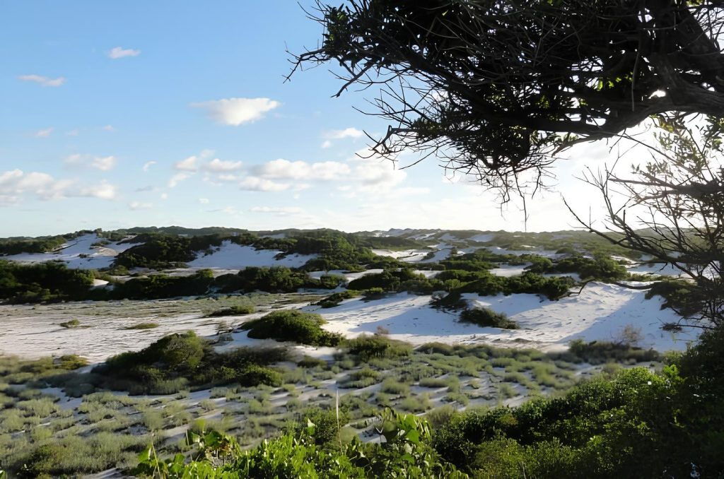 parque das dunas em Bahia.