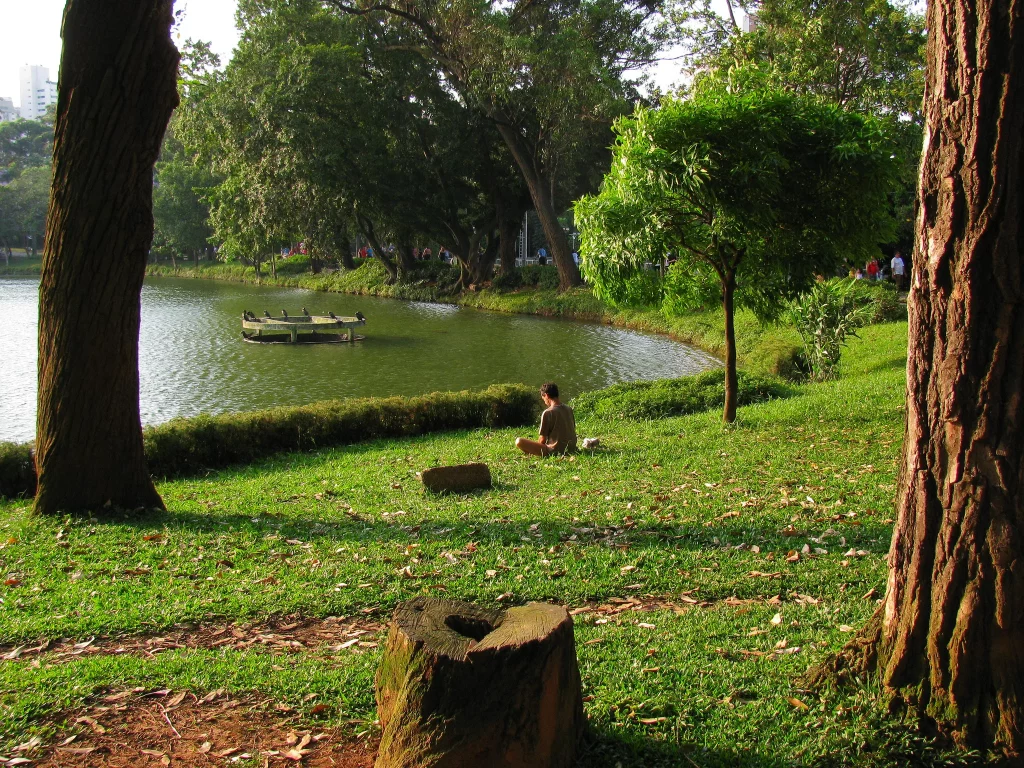 Parque da Aclimação localizada em  São paulo.