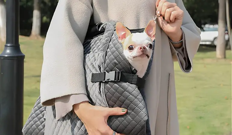 uma molher com uma bolsa de transporte para cachorro da raça chihuahua.