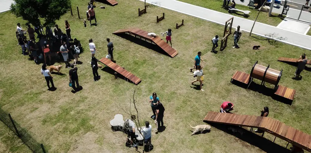 um parque canino em curitiba.