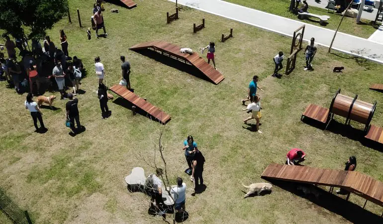 um parque para cães localizado em curitiba paraná.