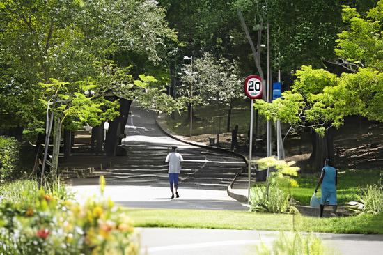 um parque para passeios com cachorros e práticas de exercícios
