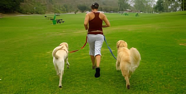 uma mulher correndo em um parque com dois cães.