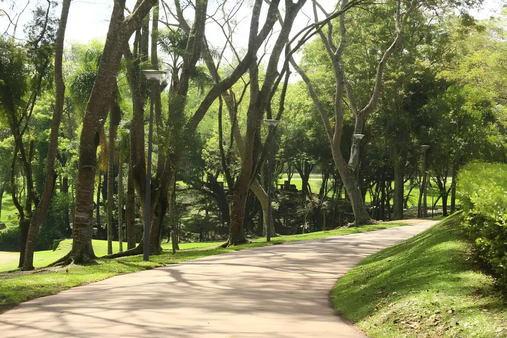 parque são lourenço localizado em curitiba paraná.