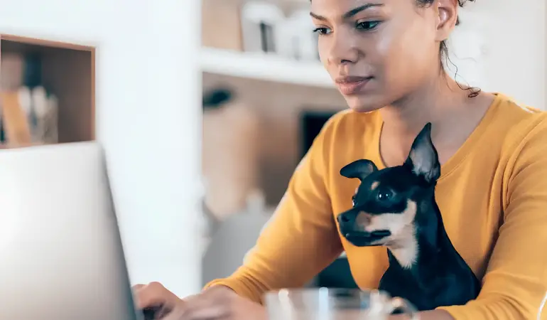 uma mulher trabalhando via remoto com se cachorro em seu colo.