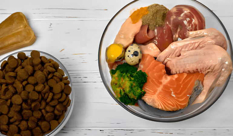 duas tigelas, uma com ração e outra com comidas naturais.