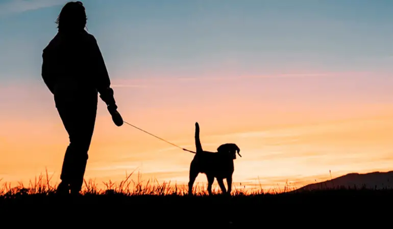 um pessoa caminhando com seu cachorro a noite.