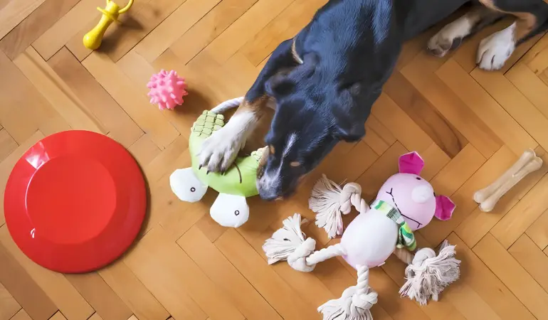 um cachorro no hão deitado com vários brinquedos mastigáveis