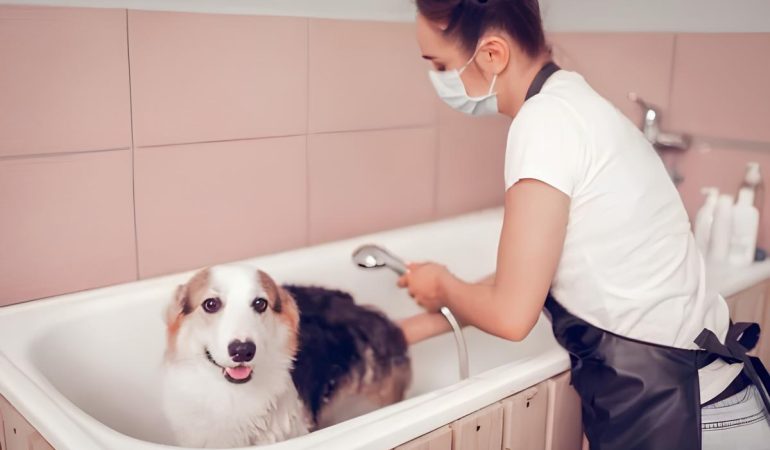 uma mulher dando banho em um cachorro dentro de uma banheira.