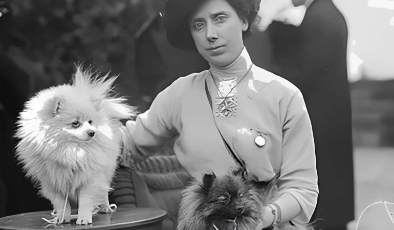 Dois Lulus da Pomerânia junto com uma moça.