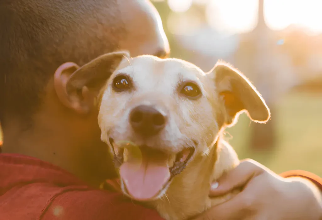 Um cachorro feliz porque foi adotado.