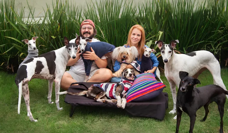Uma família com vários cães adotivos.