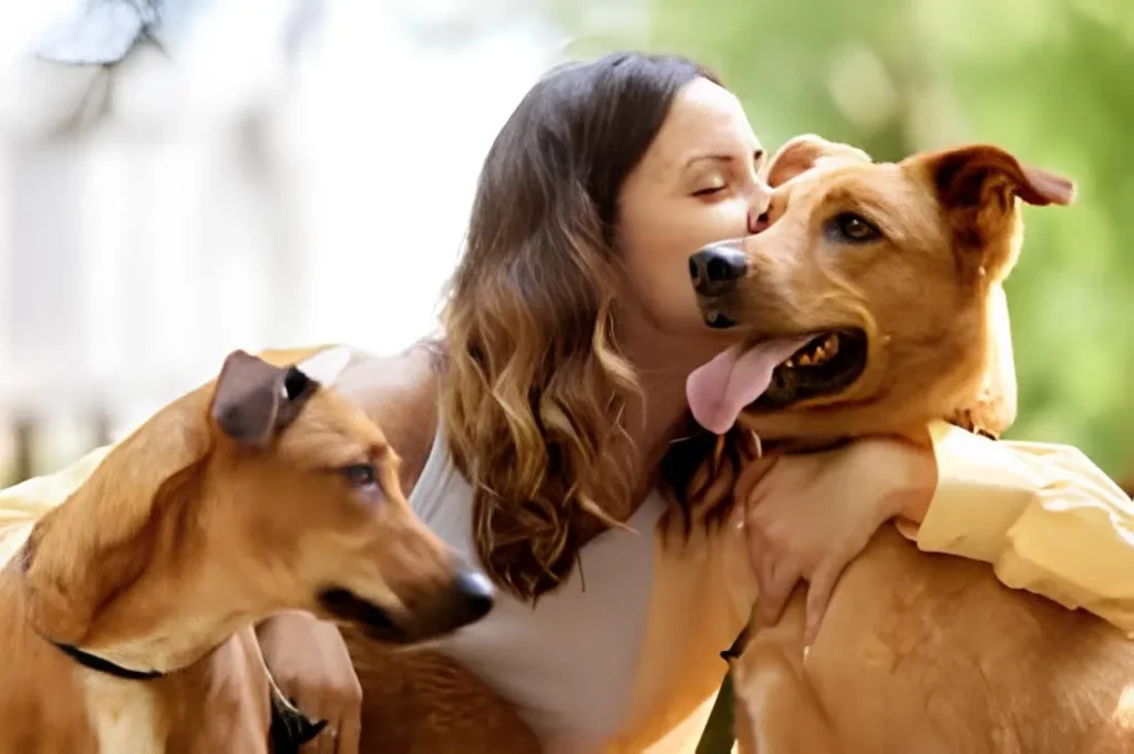 dois cachorros com sua tutora em uma festa.