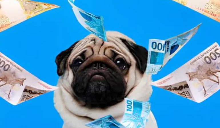 Um cachorro simbolizando os gastos financeiros com cães.