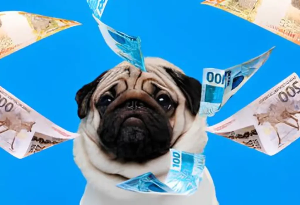 Um cachorro simbolizando os gastos financeiros com ele.