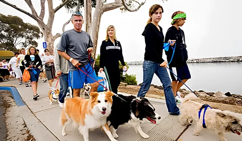 caminhada em grupos com cães