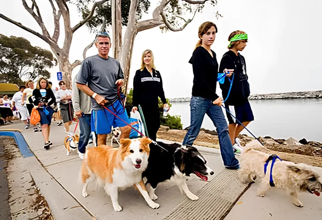 um grupo fazendo caminhada com cães