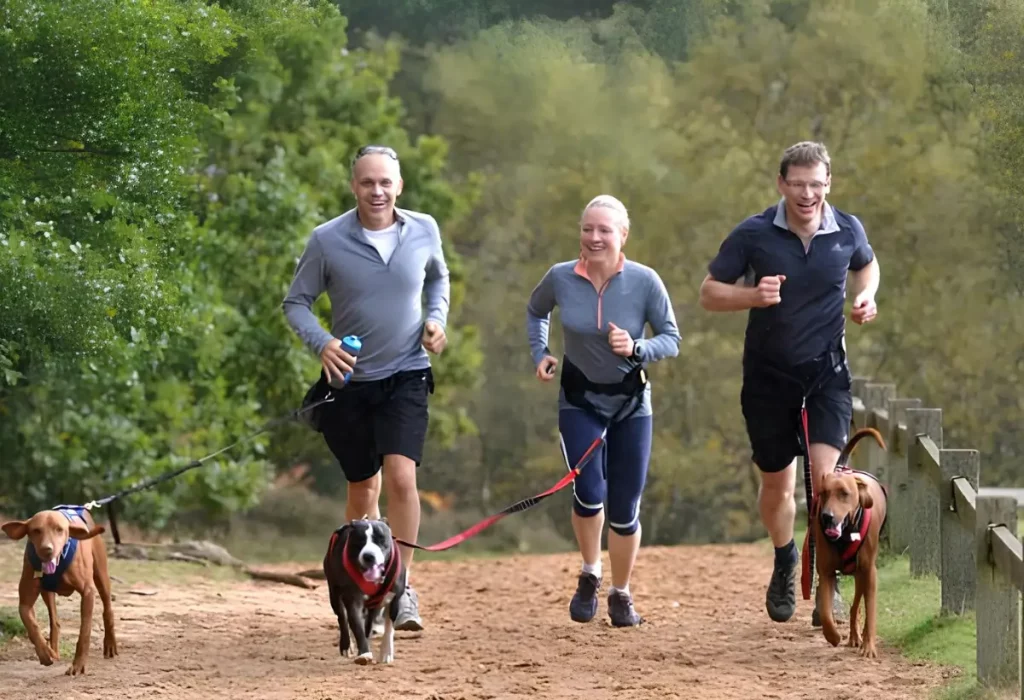 corrida em grupo com cães