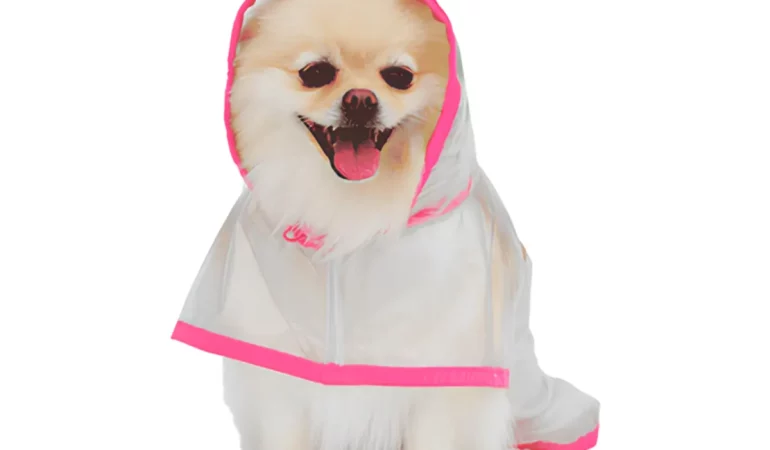 Um cachorro da raça Lulu da Pomerânia com capa de chuva.
