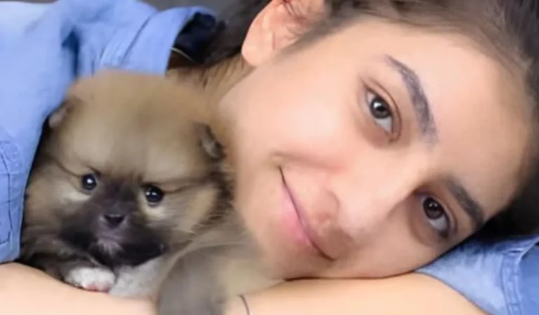 uma menina com sue lulu da pomerânia .