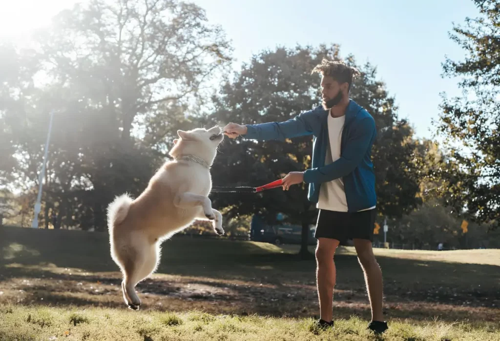um cachorro fazendo exercícios com seu tutor.