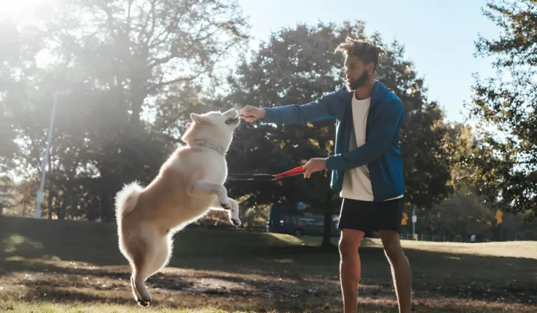 um cachorro com seu tutor.