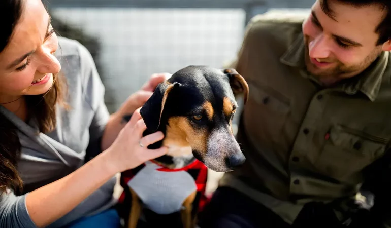 um casal em um ambiente familiar amoro e seguro para o cachorro.