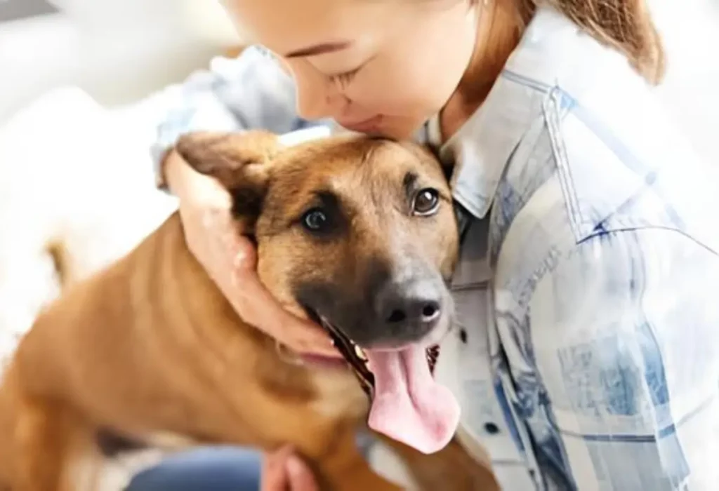 um cachorro que está fazendo tratamento com antibióticos.