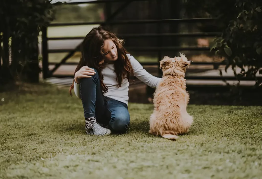 cachorro com medo de passear.