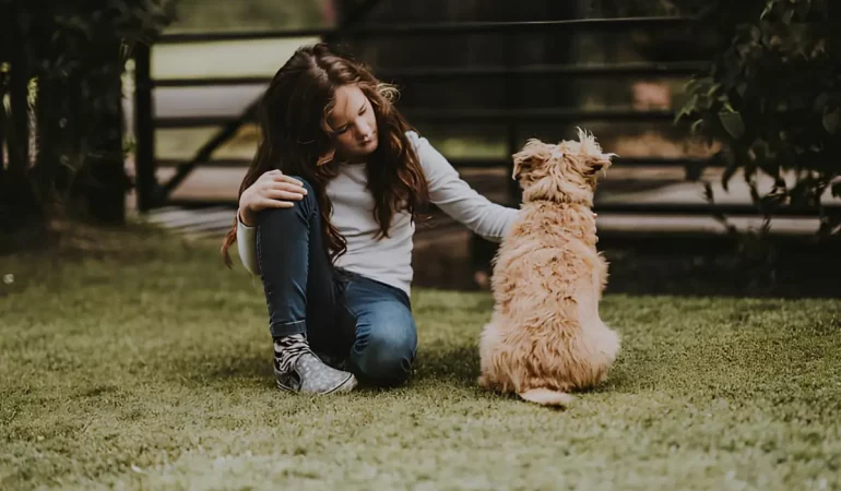 cachorro com medo de passear.