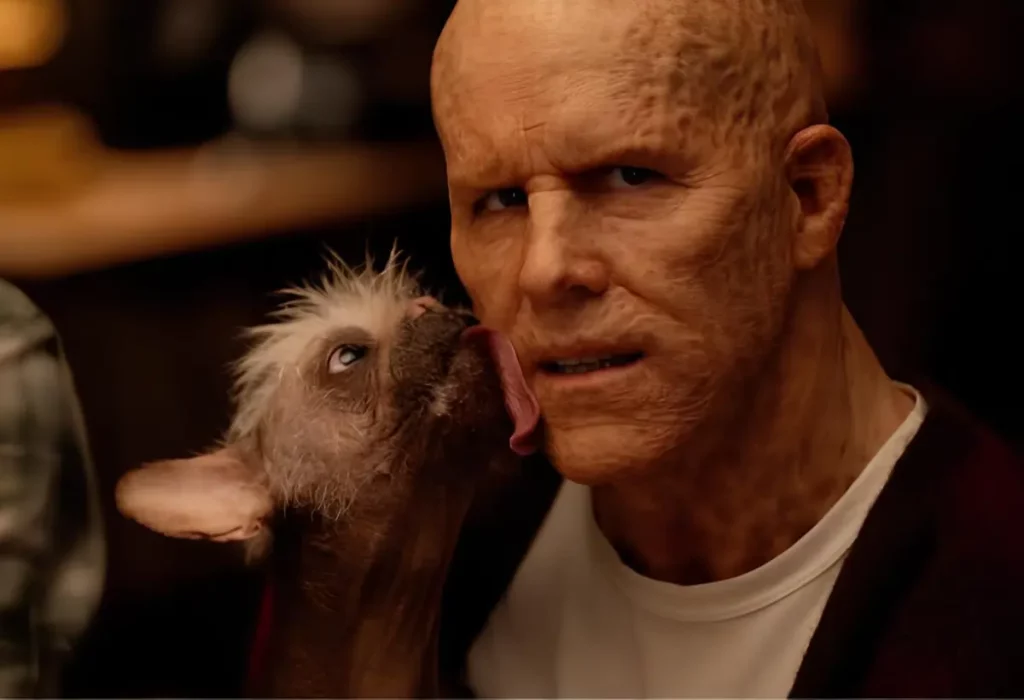 Deadpool (Ryan Reynolds) com Dogpool (Peggy).