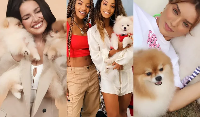 Famosos com cachorro da raça lulu da pomerânia.