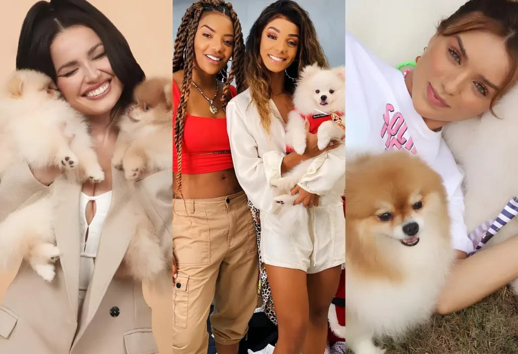 Famosos com cachorro da raça lulu da pomerânia.