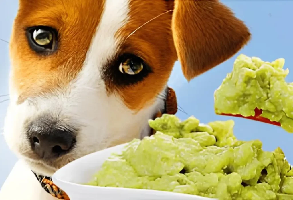 Um cachorro fazendo uma alimentação natural.
